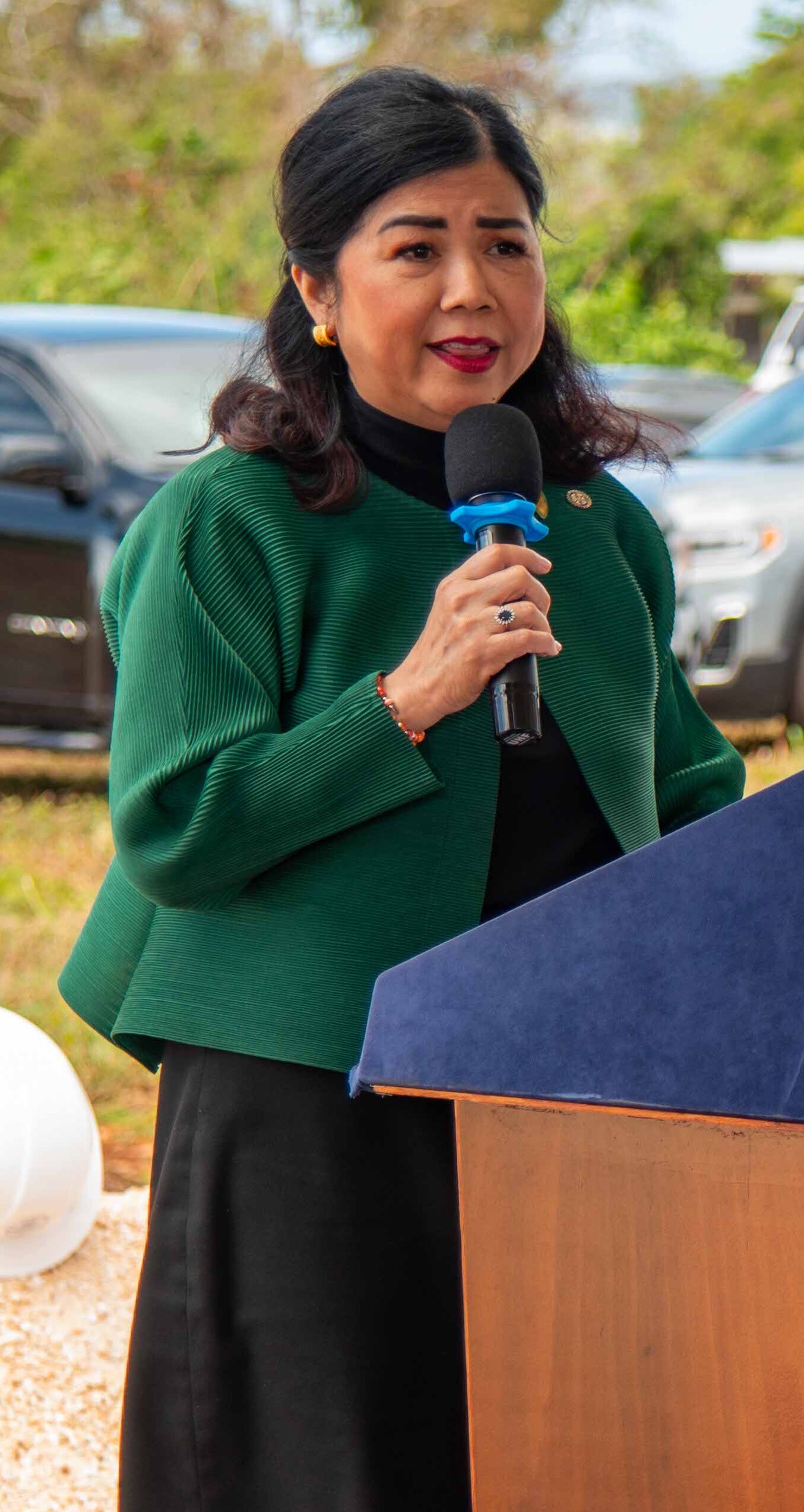Anita Borja Enriquez