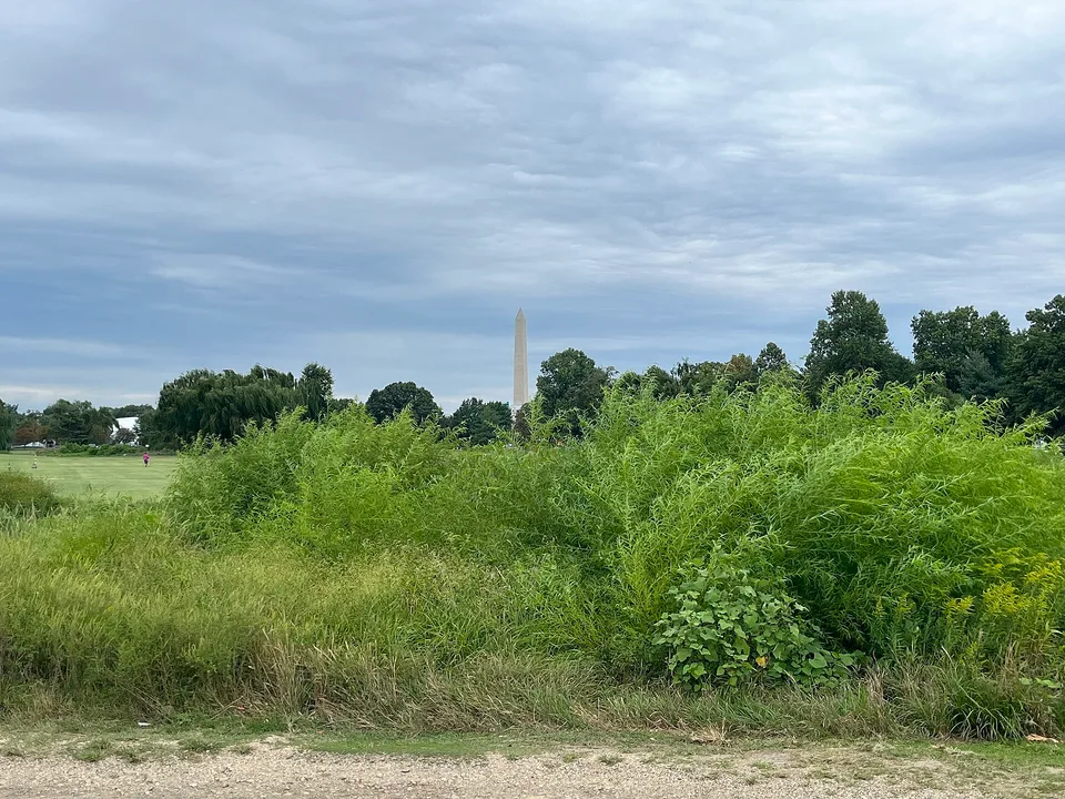 The Washington Monument seen from East Potomac Golf Links