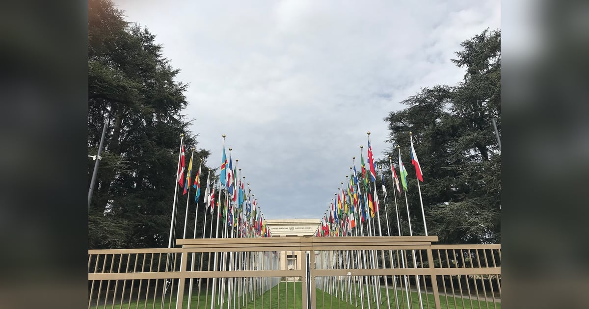A row of national flags in front of the Palais des Nations in Geneva