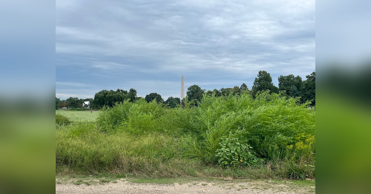 The Washington Monument seen from East Potomac Golf Links